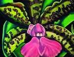 Orchid I